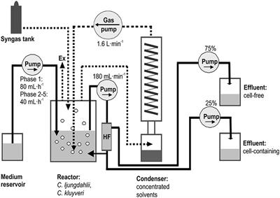 A Narrow pH Range Supports Butanol, Hexanol, and Octanol Production from Syngas in a Continuous Co-culture of Clostridium ljungdahlii and Clostridium kluyveri with In-Line Product Extraction